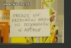 Bezwstydny Polak