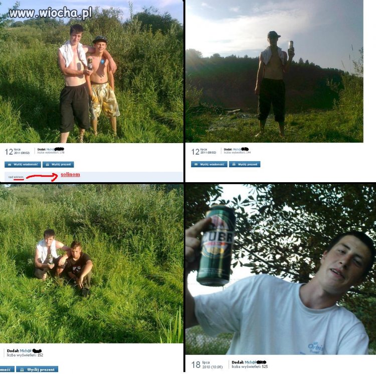 Gdyby nie żubr to...