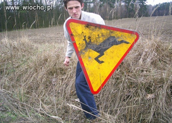 Lans na znak drogowy