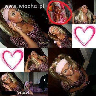 Widać upodabnia się