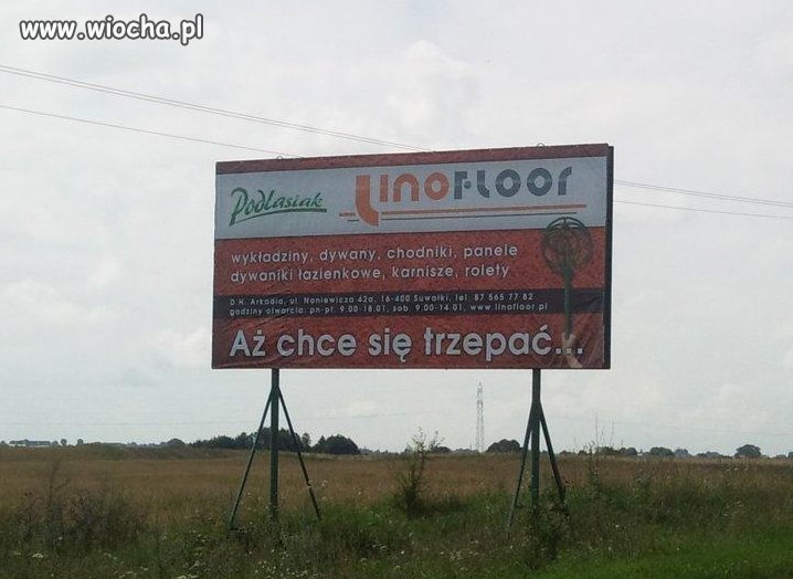 Aż chce się trzepać...