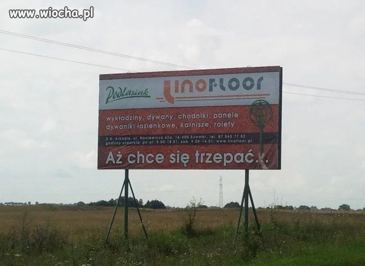 Aż chce się trzepać...