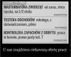 Reklama 