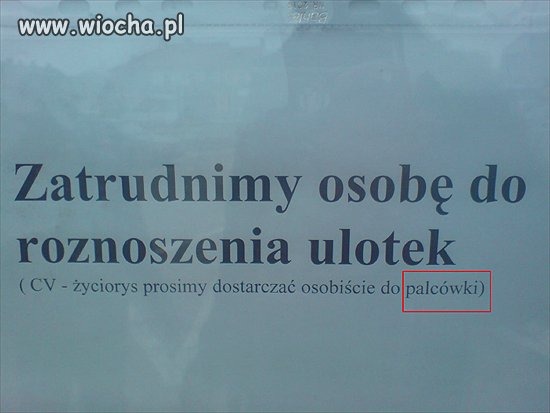 Ach te nasze Polskie byki...