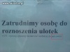 Ach te nasze Polskie byki...
