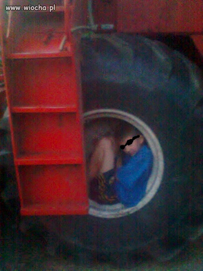 I jedziemy na żniwa...