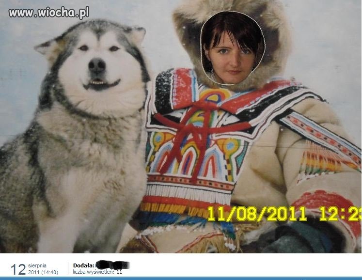 Urlop na Alasce??