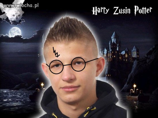 Harry Zusin Potter ...