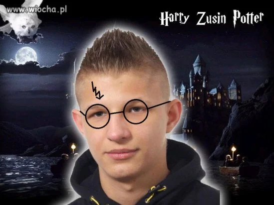 Harry Zusin Potter ...
