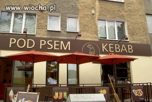 Pod psem