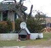 Animal planet ??