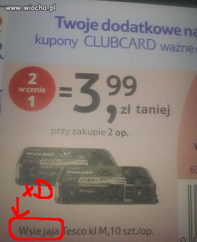 Wsie jaja...