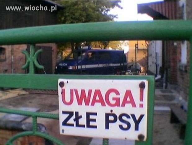 Rodwailer ? Pitbull ?