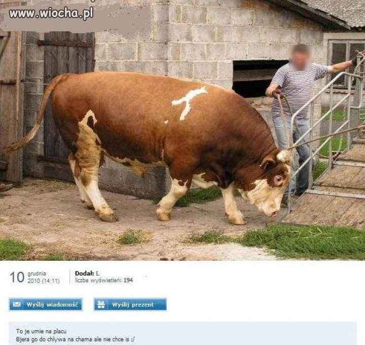 Trzeba się pochwalić na NK
