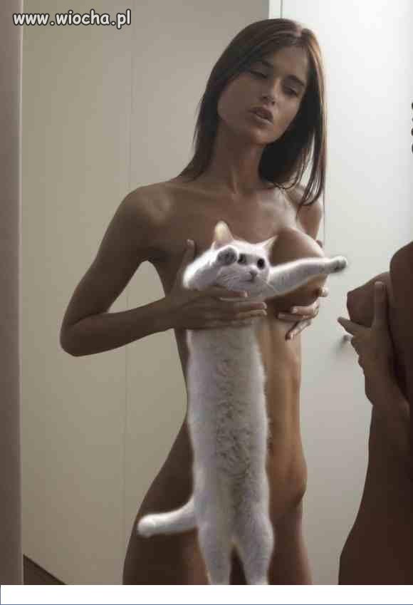 Zażenowana mina kota...