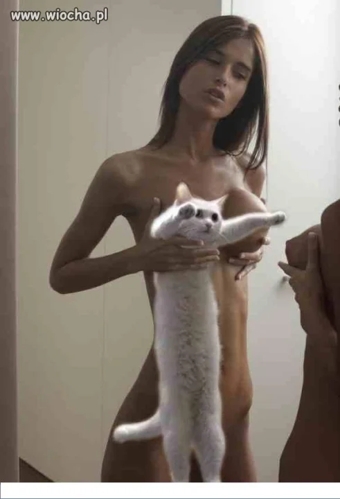 Zażenowana mina kota...