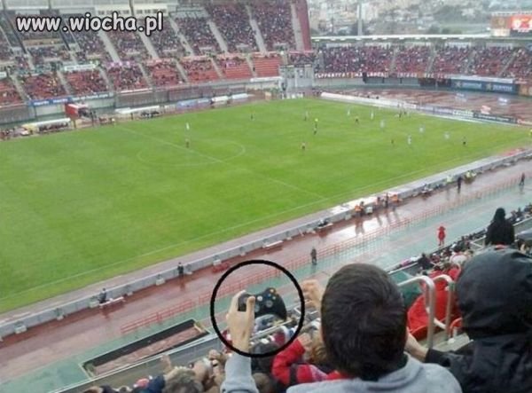 Ja na prawdę...