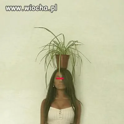 Każda wariatka