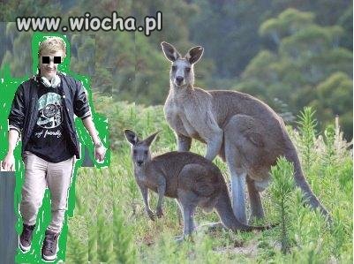 Kolejny mistrz painta