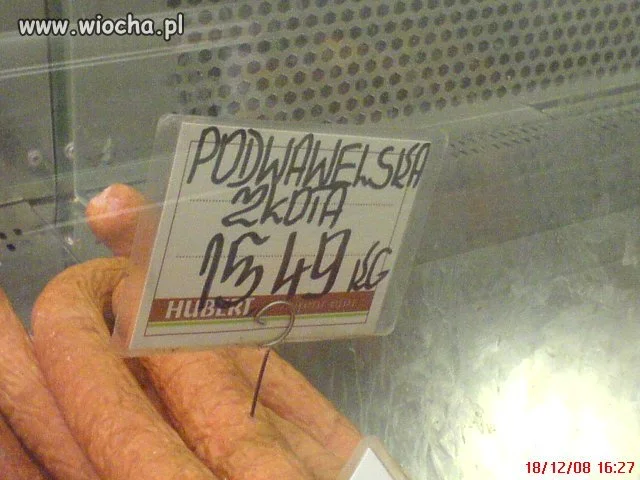 Podwawelska z kota