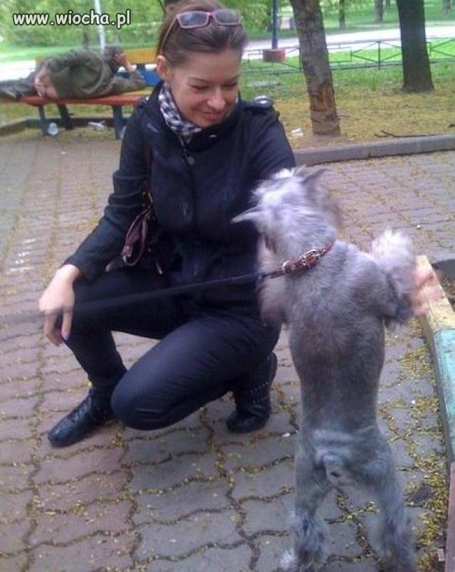 Mistrz drugiego Planu.