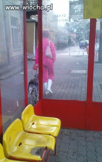 Piesek jest, białe kalosze są, różowe wdzianko jest,