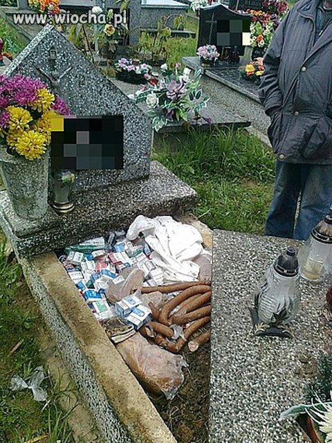 Czyżby ktoś szykował legowisko