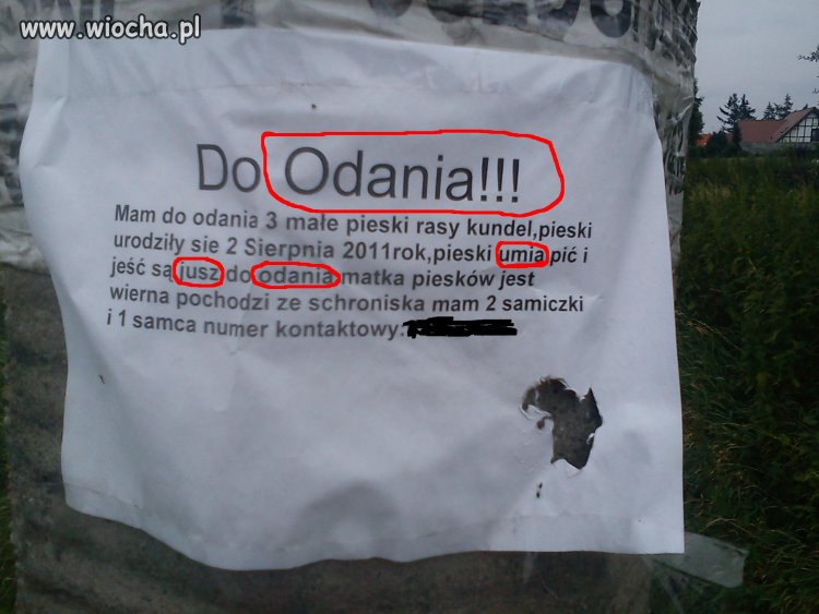 Te polskie...