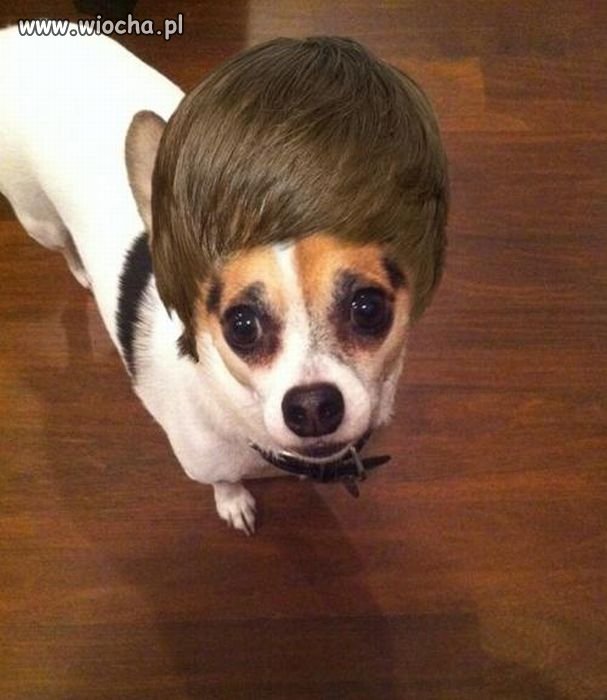 JUSTIN BIEBER