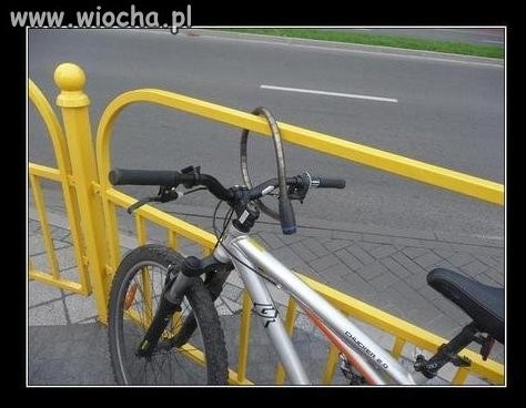 Głupota nie boli 