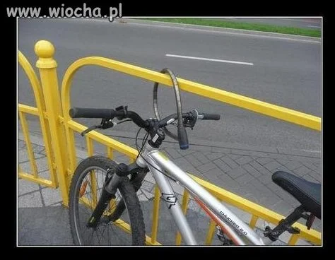 Głupota nie boli 