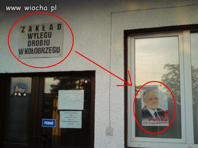 Ciekawe czy zrobili to dla jaj.