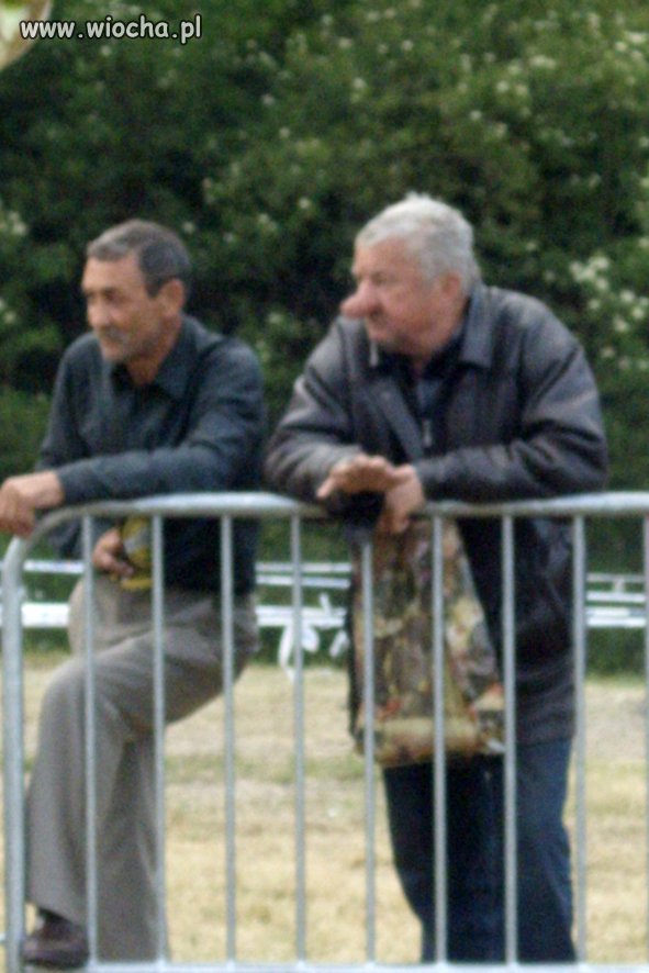 Zenek, Ty to masz jednak nosa do alkoholu.
