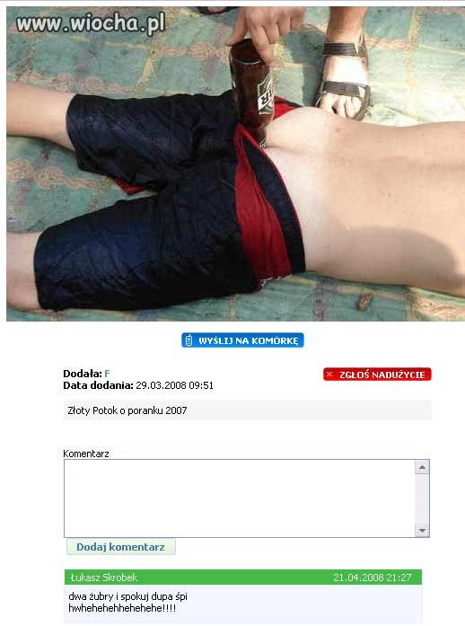 Żubr