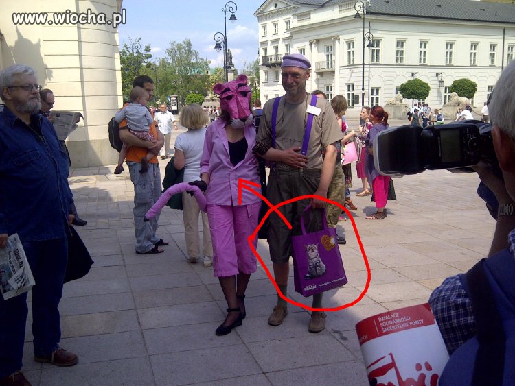 Mrrr... ale kociak