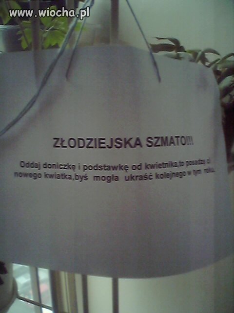 Zło...