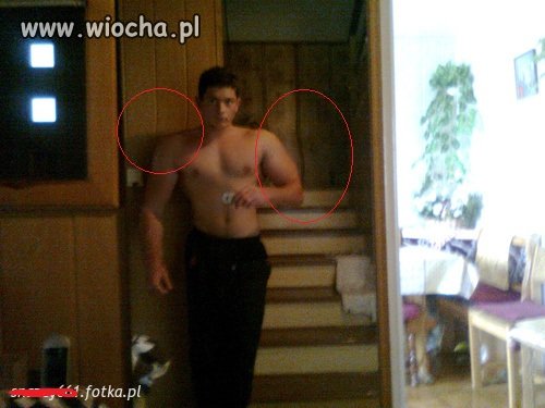 Takie mięśnie żę panele wygina 