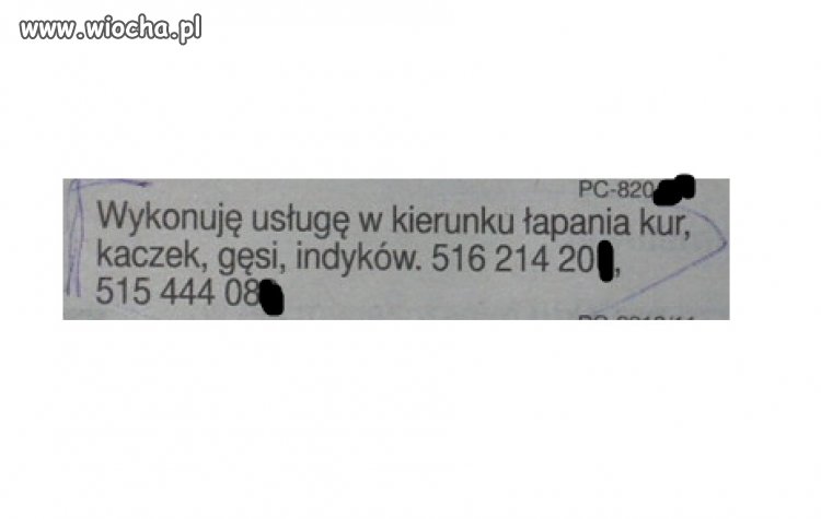Nie ogarniam