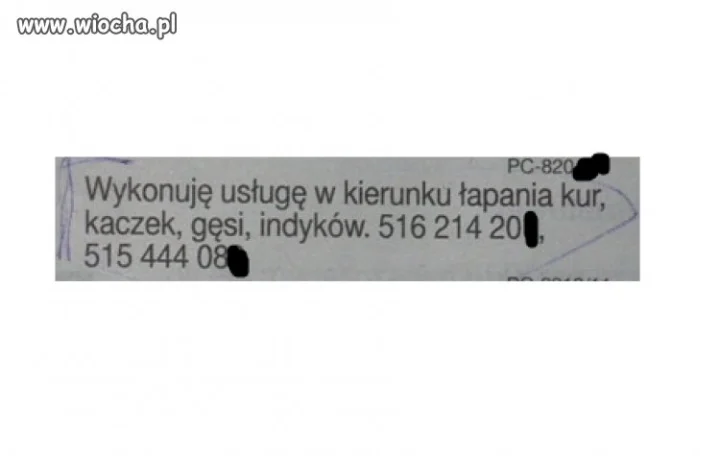 Nie ogarniam