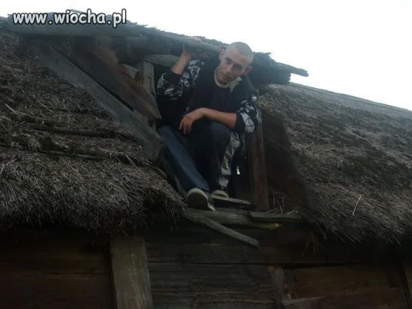 Opis: "Ja na poddaszu w chlewie"