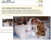 Wiocha na samosi