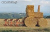 Wiocha kreatywna...