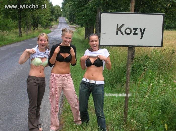 Kozy