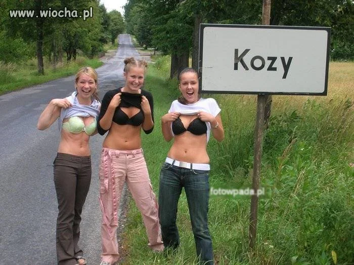 Kozy