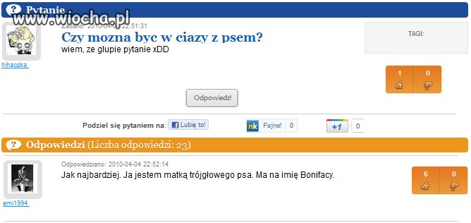 Ciąża z psem