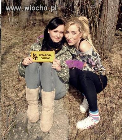 Dziewczyny niczego sobie