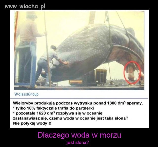 Wiecie dlaczego?