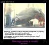Wiecie dlaczego?