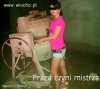 Mistrzyni przysłów.