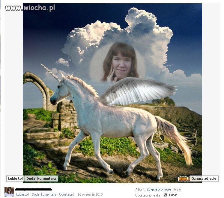 Piękność na jednorożcu